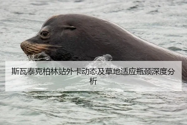 斯瓦泰克柏林站外卡动态及草地适应瓶颈深度分析